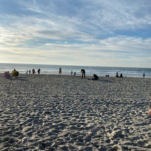 Meet your Posher, Bella